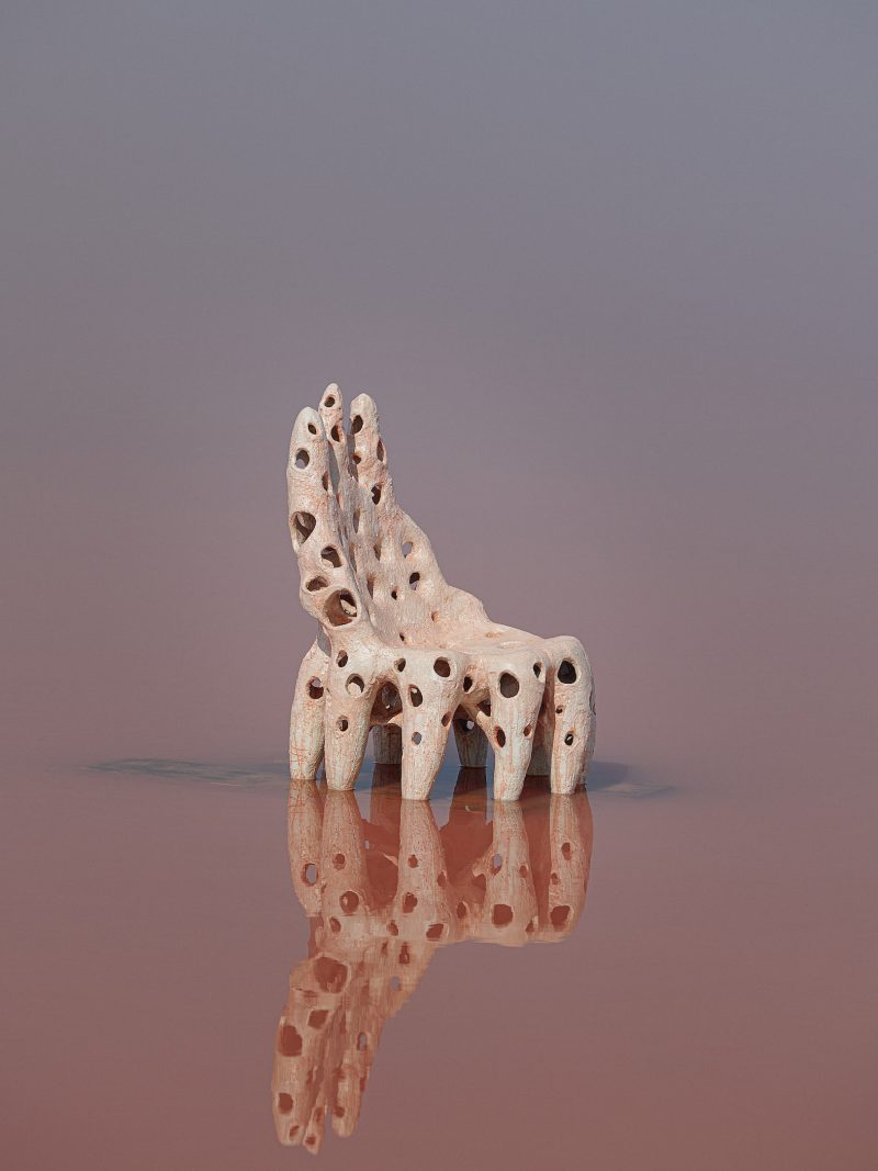 GalerieGastou-AgnesDebizet-Camarge22-©StephanJulliard-20