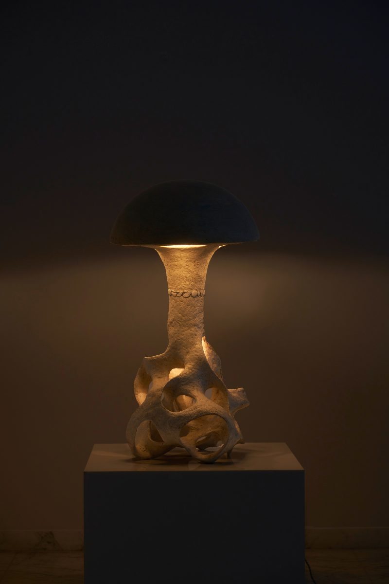 GalerieGastou-AgnesDebizet-LesIlluminees-©LaurentLaporte-01