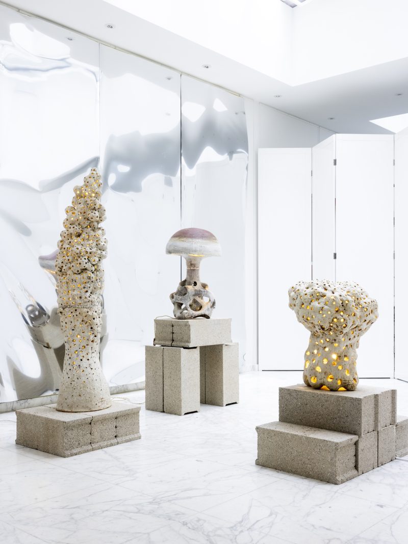GalerieGastou-AgnesDebizet-LesIlluminees-©RaphaelDautigny-05