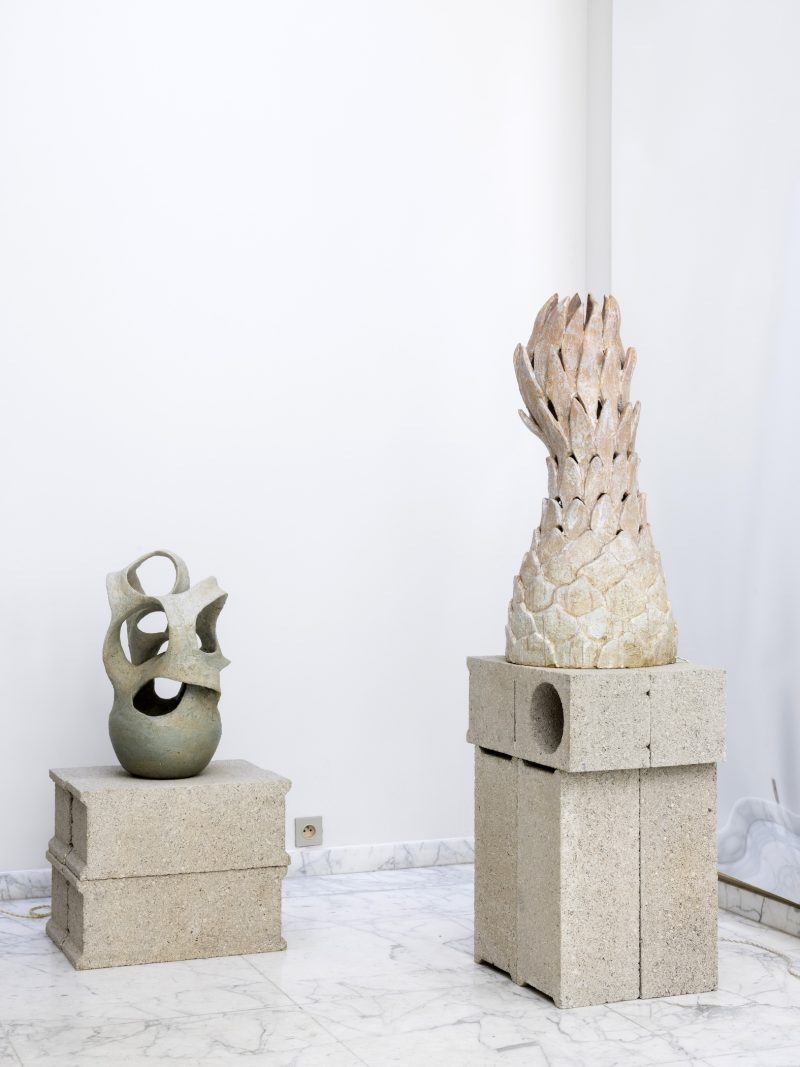 GalerieGastou-AgnesDebizet-LesIlluminees-©RaphaelDautigny-28