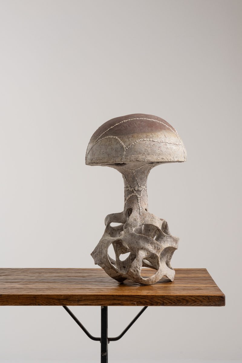 "Champignon Rouge"