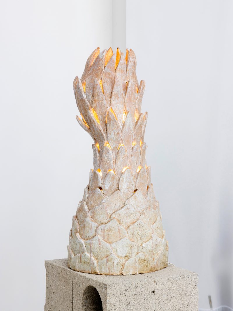 "Cynarose" lamp