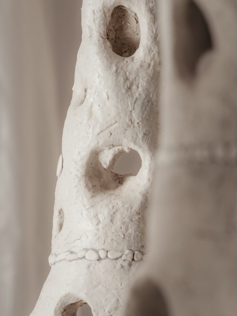 "Le Concile des Fées"