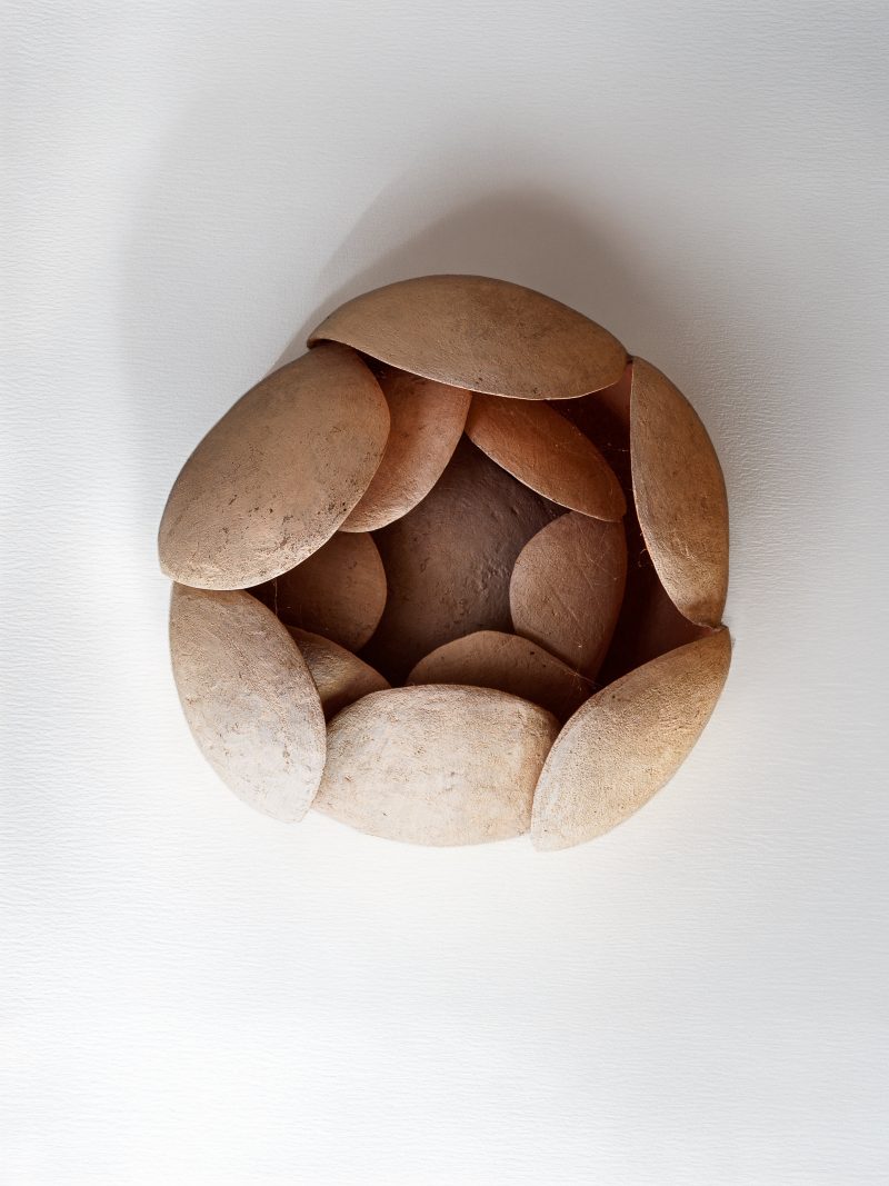 "Roses des Sables" sconce