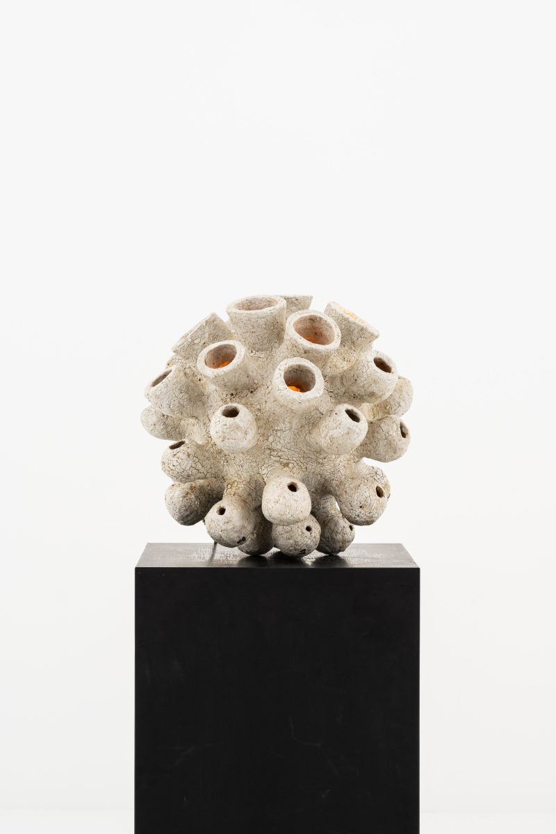 "Sporange" lamp