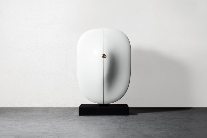 "Carapace" cabinet