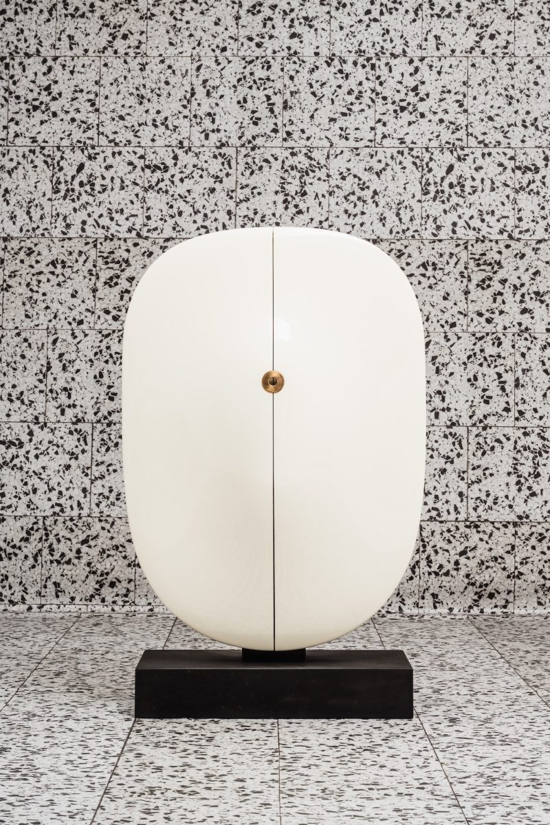 "Carapace" cabinet