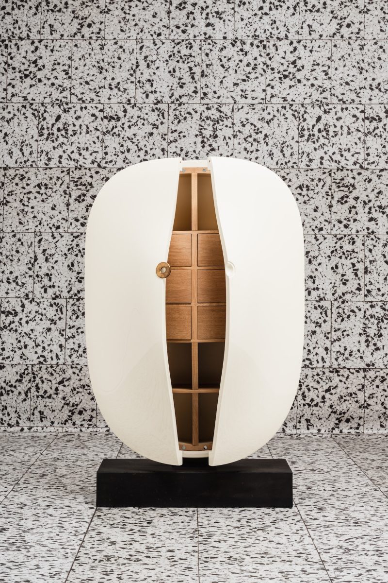 "Carapace" cabinet