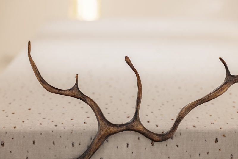 "Queen of the night" daybed