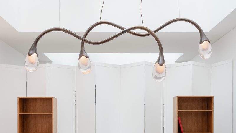 "Wild and voluptuous animals" ceiling fixture