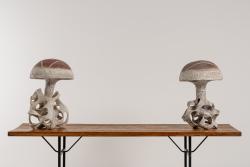 "Champignon Rouge"