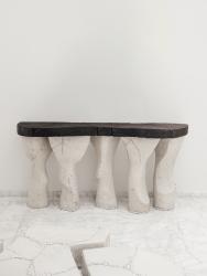 "Polypède" console