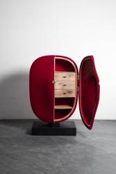 "Carapace" cabinet