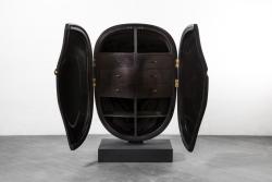 "Carapace" cabinet