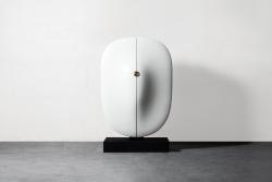 "Carapace" cabinet