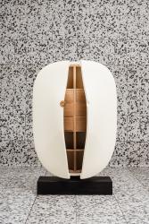 "Carapace" cabinet