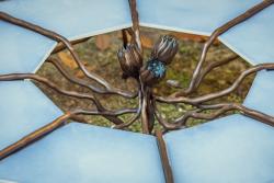 "Queen of the Night" coffee table