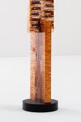 "Camasca d'Or"