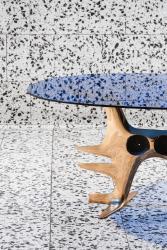 "Araignée" center table